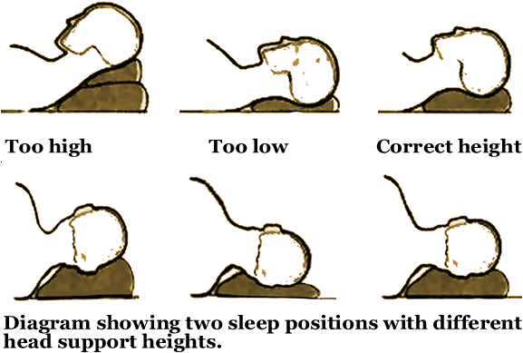 Proper pillow height comparison